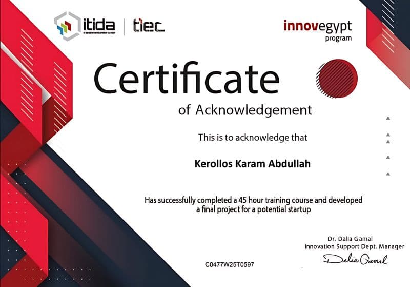 InnovEgypt Training Program
